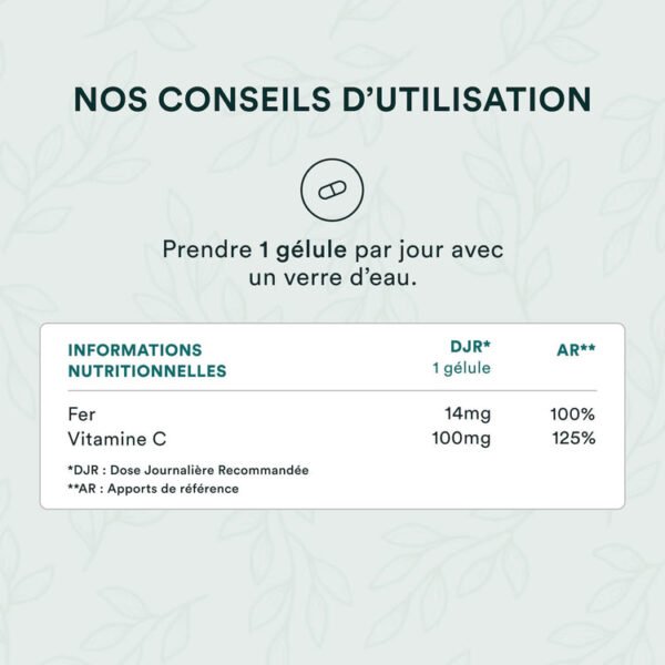 Fer Bisglycinate Ferrochel® – Image 2